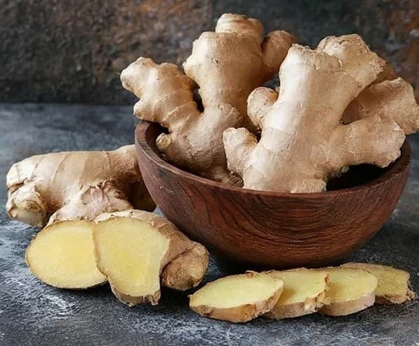 تصویر 4 از خرید زنجبیل قلم چینی + قیمت فروش استثنایی